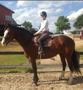 Meet Rosy , our new horse at CCA