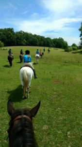Trail Riding for Summer Horseback Camp at Carolina Country Acres