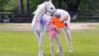 Blue Strutter_Carolina Country Acres_Lease Horse