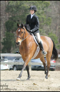 Hunter Jumper for lease by Horse show leases