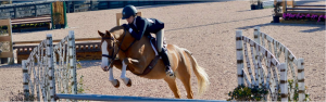 Horse Show Leases